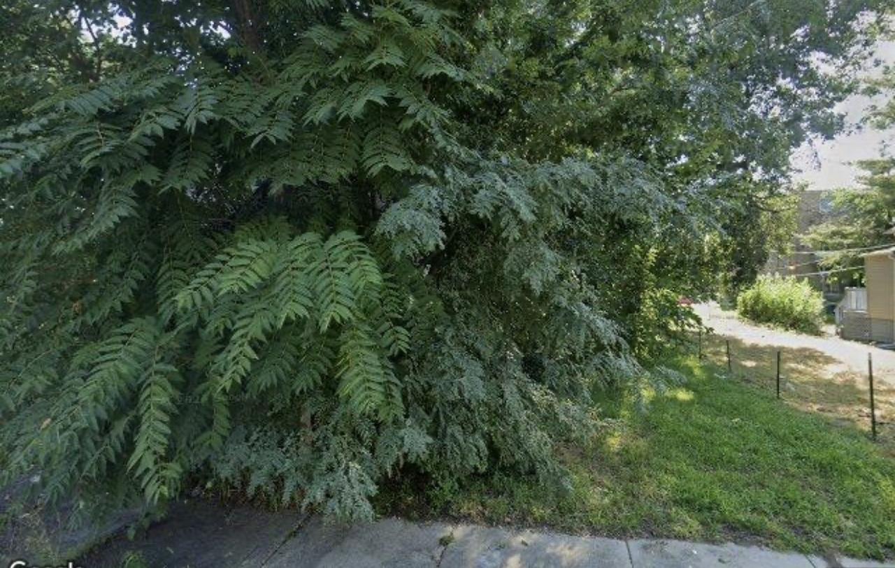 6521 S Emerald Ave., Chicago, IL 60621