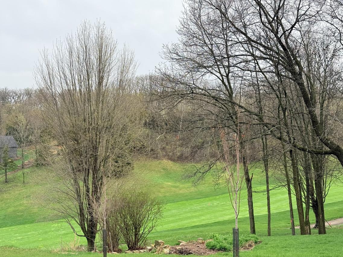 10 Linden Ct., Galena, IL 61036