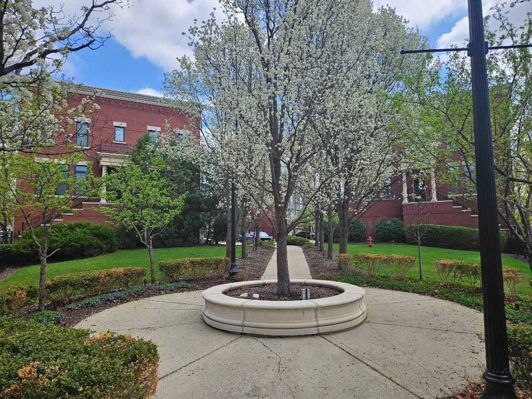 147 River Walk Ct., Elgin, IL 60120