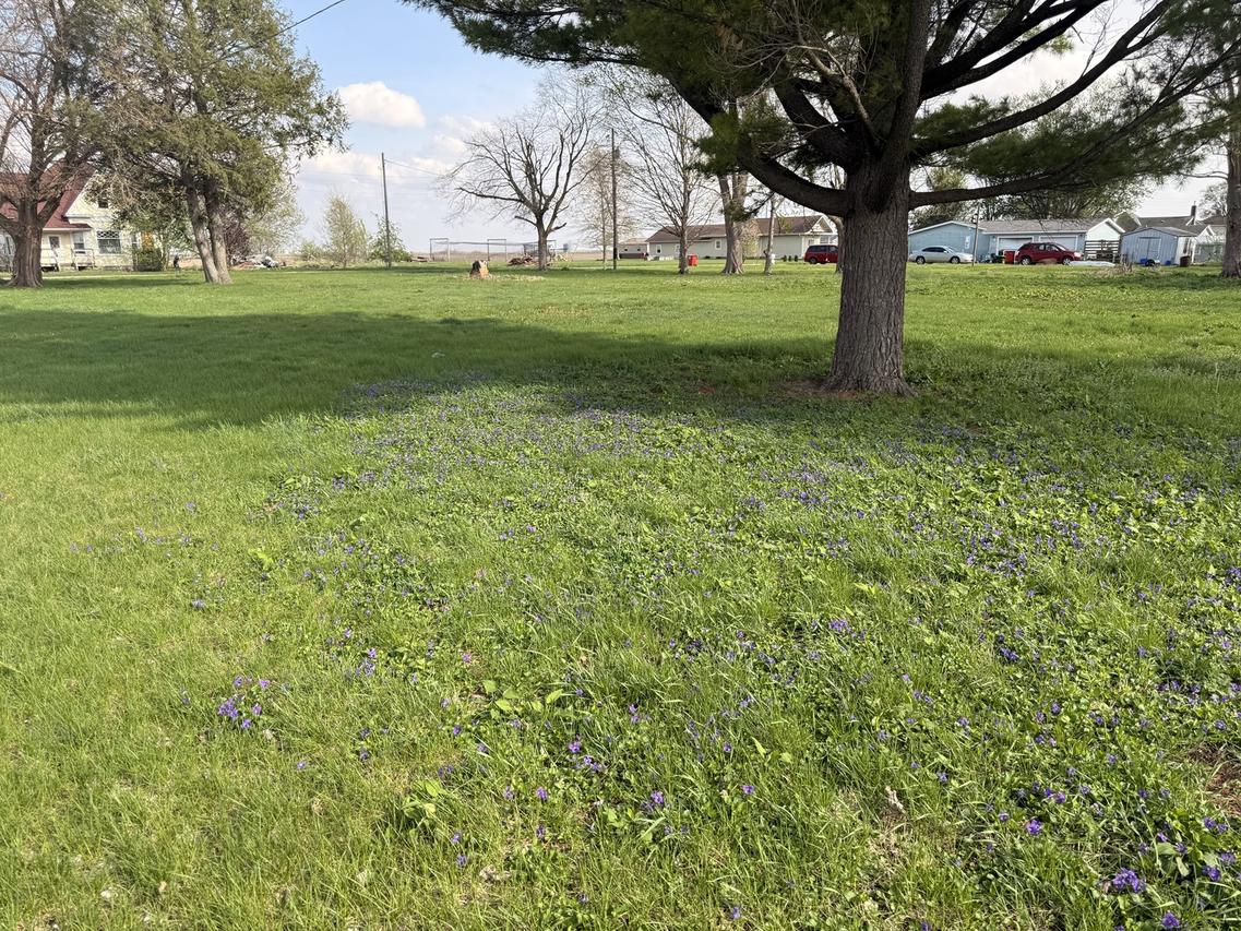 210 N Maple St., Magnolia, IL 61336