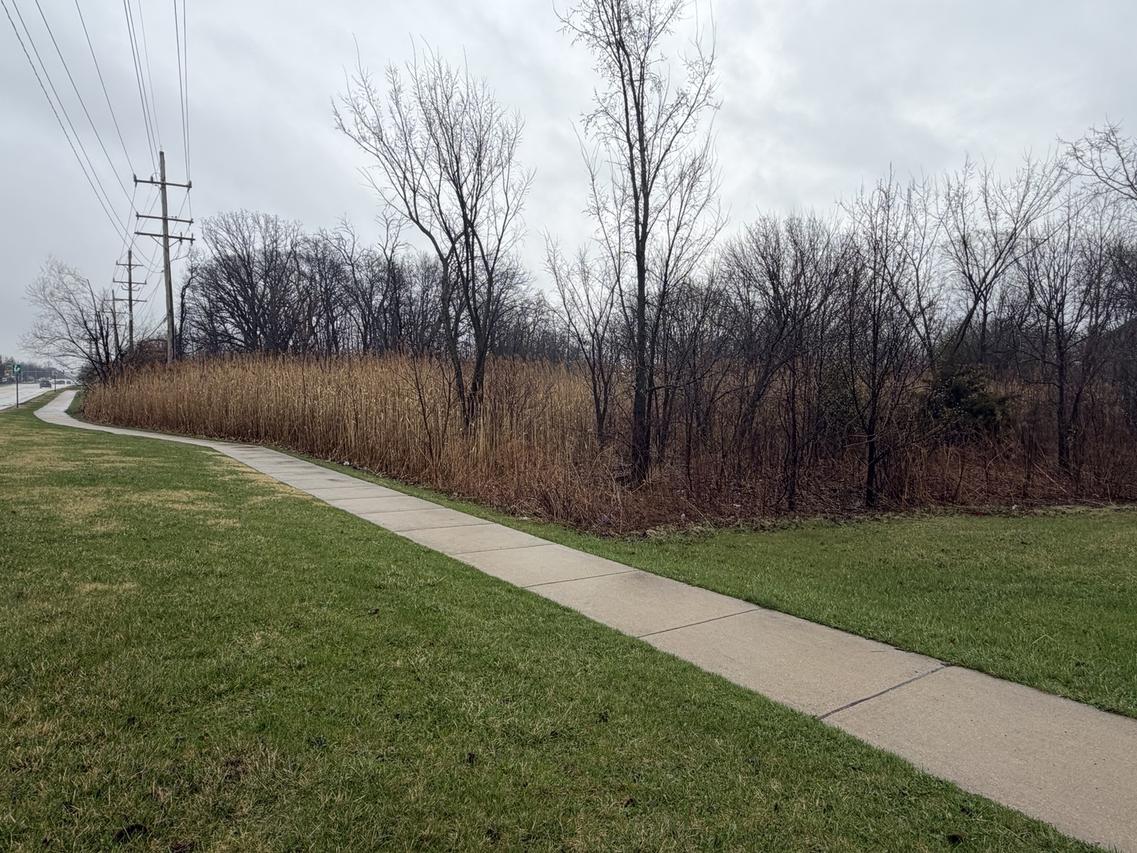 1201 Leinster Dr., Lemont, IL 60439