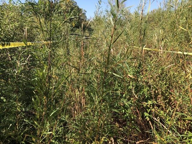 14 Alexandra Dr., Mettawa, IL 60048