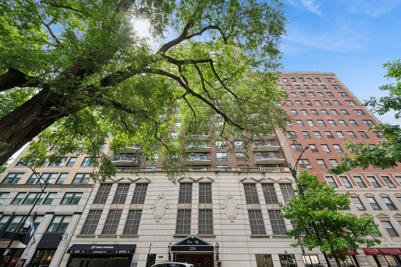 1250 N Dearborn Pkwy. #24E, Chicago, IL 60610