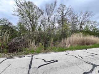 17W246 Red Oak St., Bensenville, IL 60106