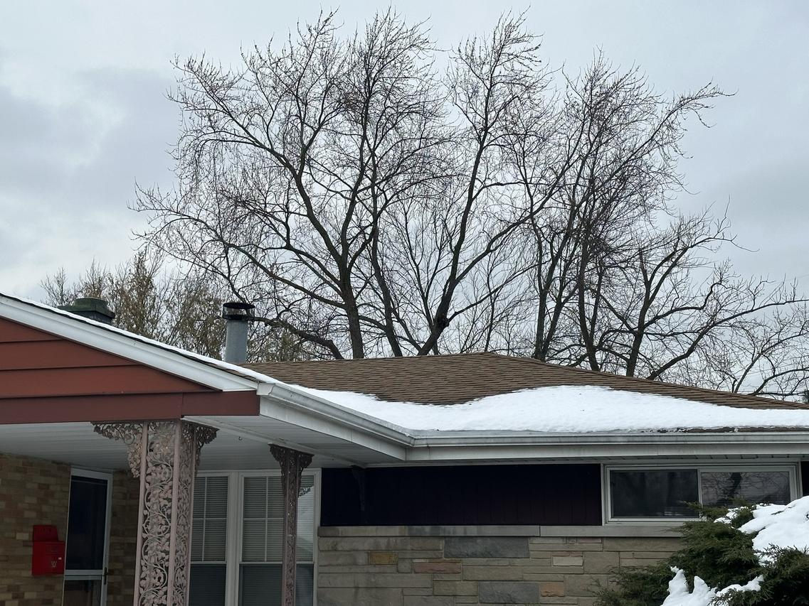 7520 Arcadia St., Morton Grove, IL 60053