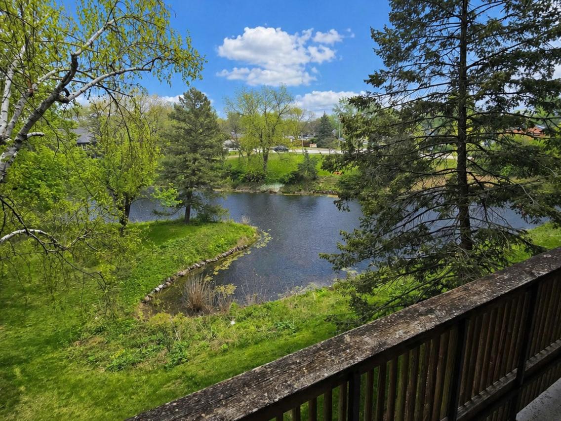 8025 Woodglen Ln. #306, Downers Grove, IL 60516