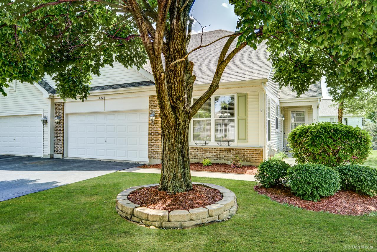 8222 Tremont Ln., Joliet, IL 60431