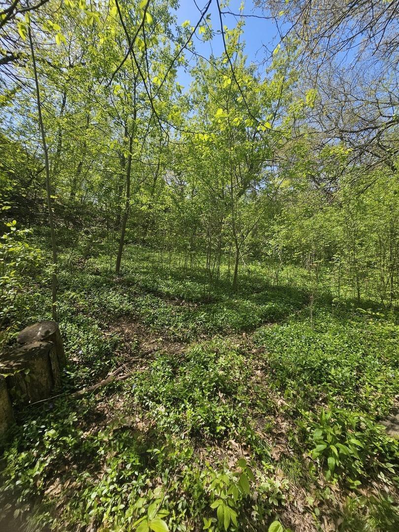 38581 N Hillandale Dr., Spring Grove, IL 60081