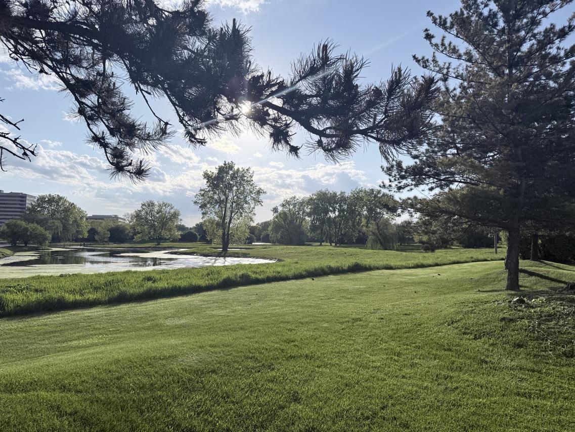1S476 Renaissance Blvd., Oak Brook, IL 60523