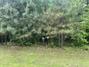 New Homes For Sale This Week in Goreville: May 1st to May 7th