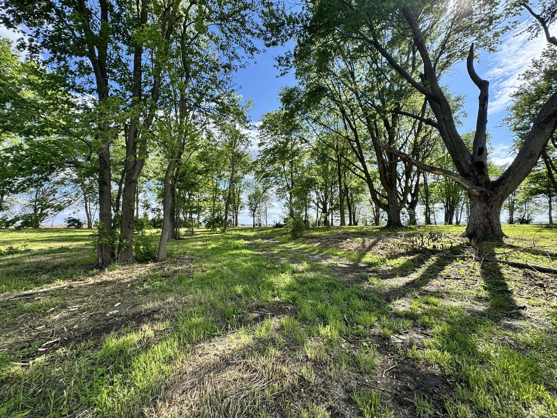 1971 County Road 1200, Sidney, IL 61877
