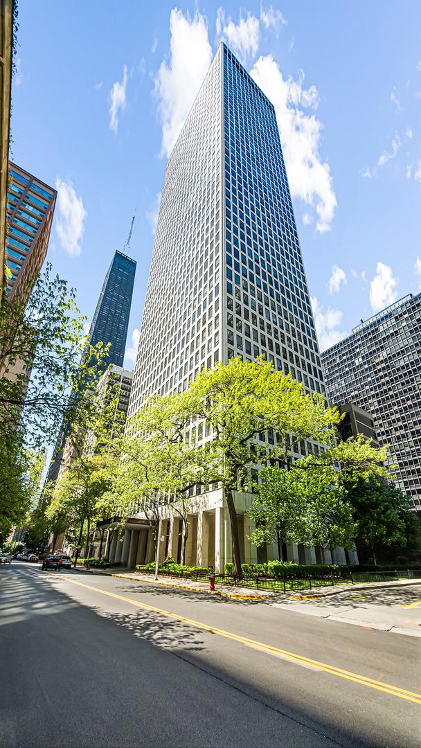 260 E Chestnut St. #314, Chicago, IL 60611