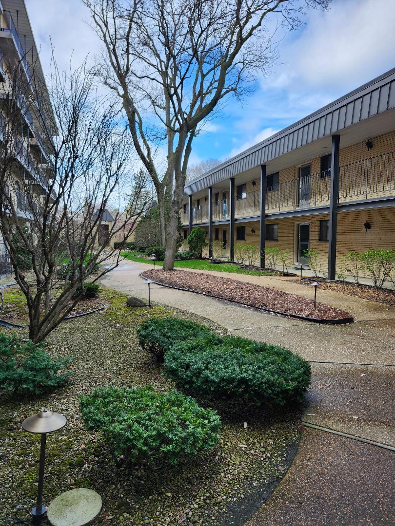 6221 N Niagara Ave. #305, Chicago, IL 60631