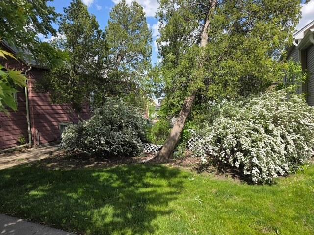 5517 N Mont Clare Ave., Chicago, IL 60656