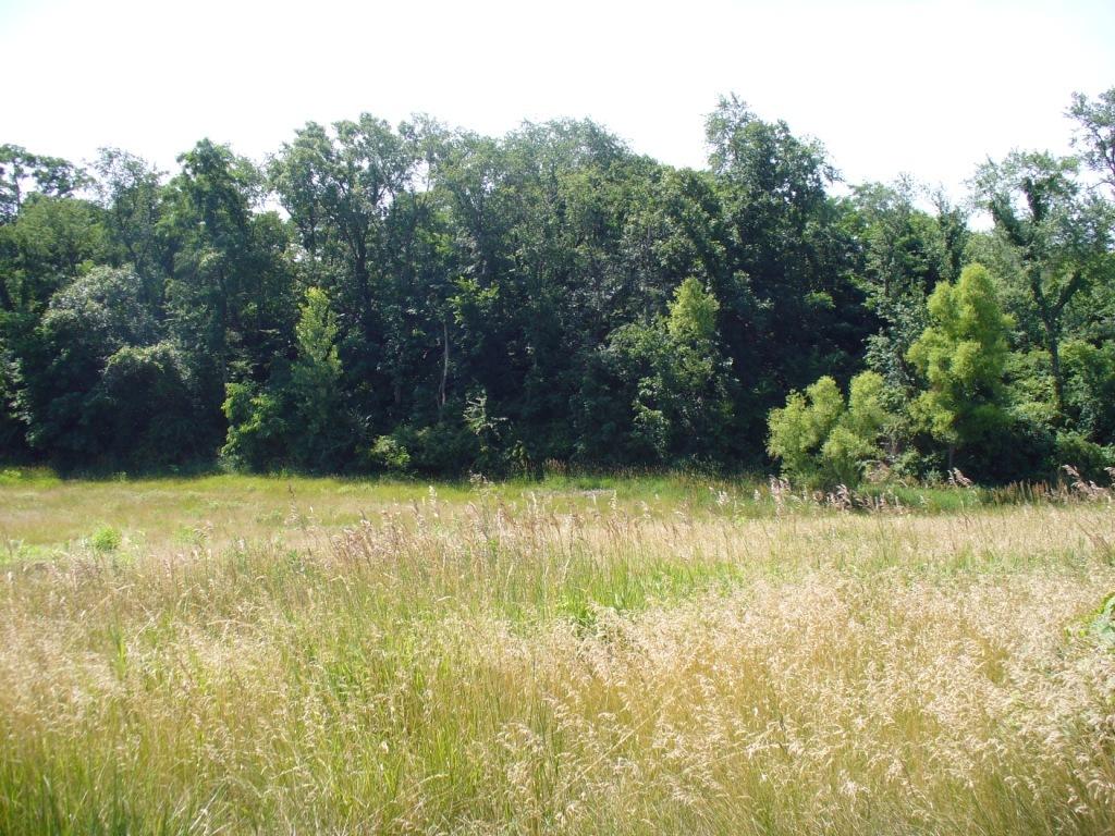 Lot 3 Par Ln., Sherrard, IL 61265