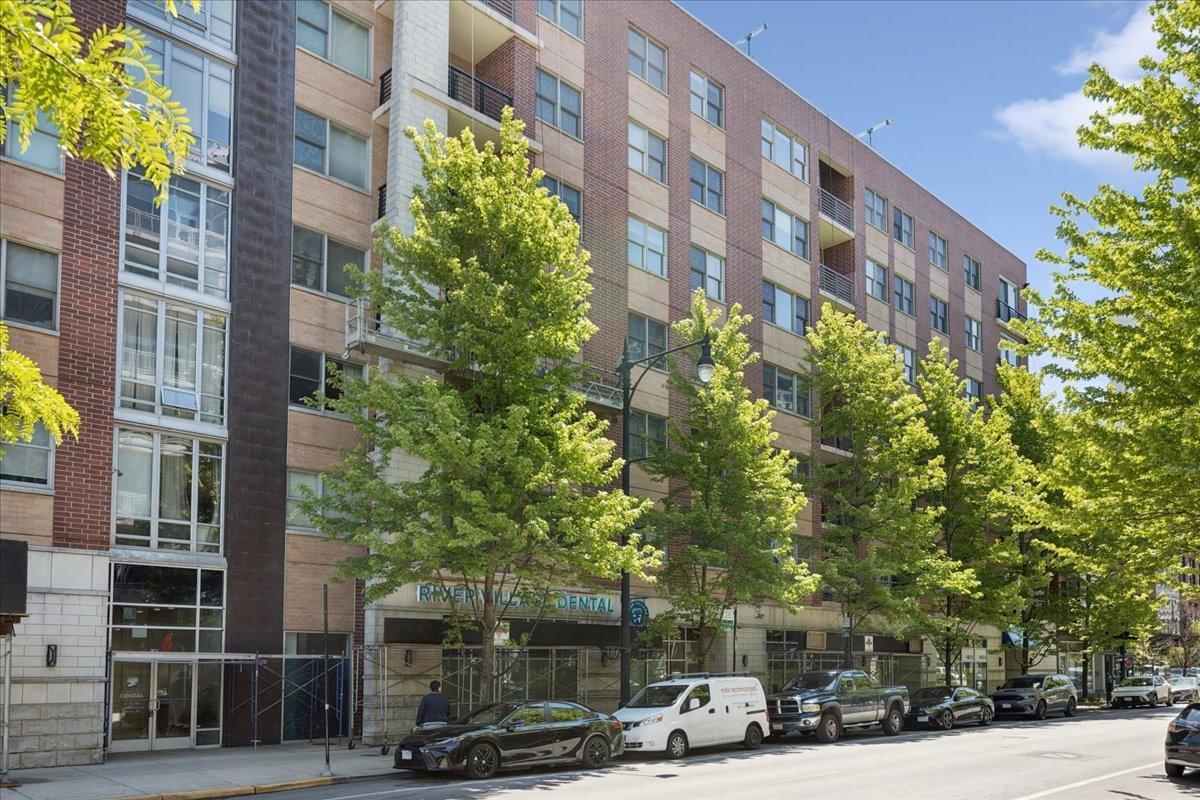 873 N Larrabee St. #312, Chicago, IL 60610