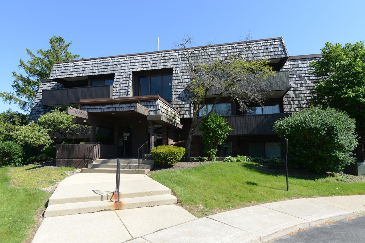 523 Timber Ridge Dr. #204, Carol Stream, IL 60188