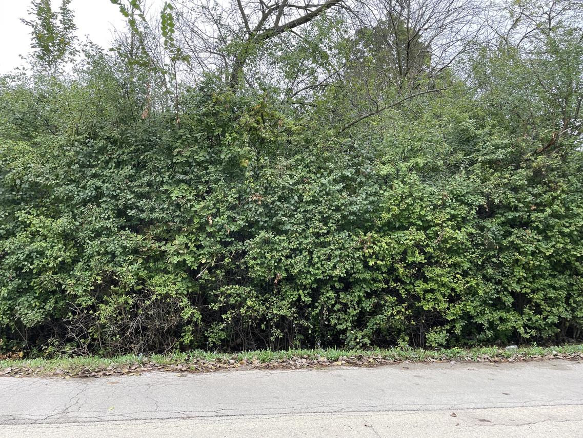 000 Redbud Dr., Joliet, IL 60433