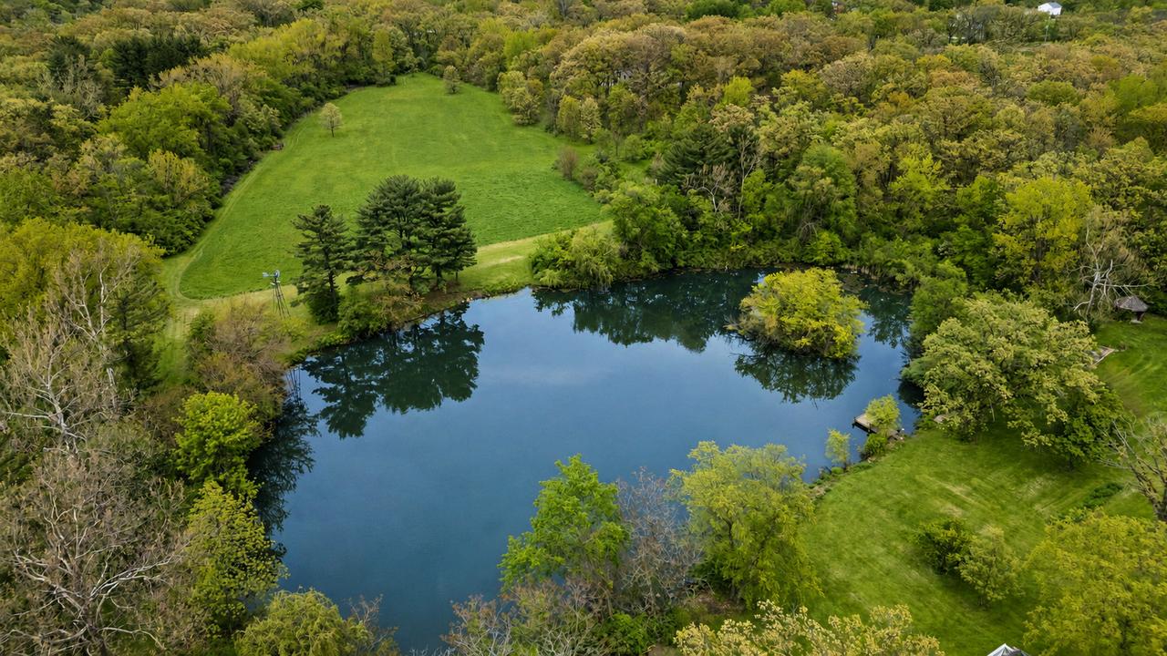 931 E Steger Rd., Steger, IL 60475