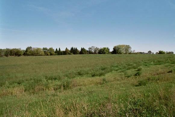 2010 Maritime Ln., Woodstock, IL 60098