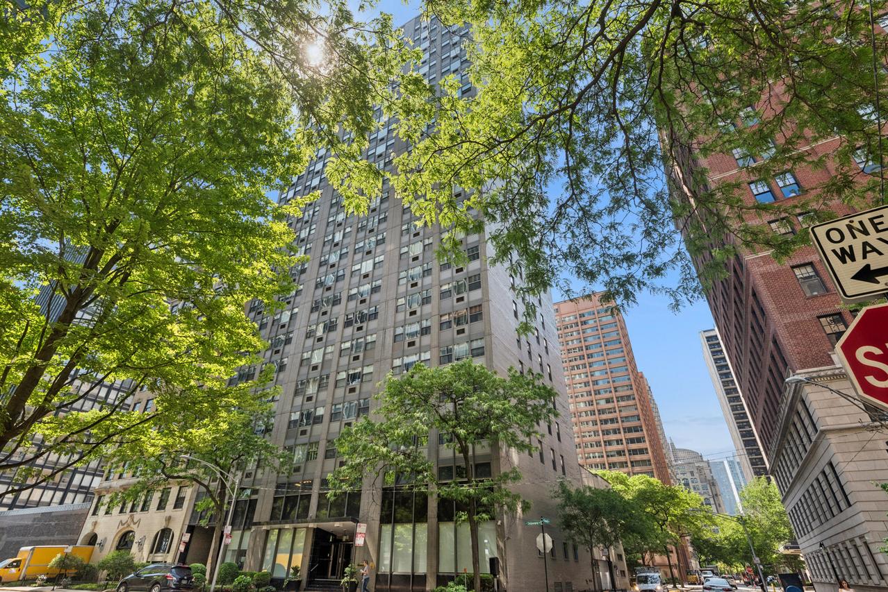 253 E Delaware Pl. #7H, Chicago, IL 60611
