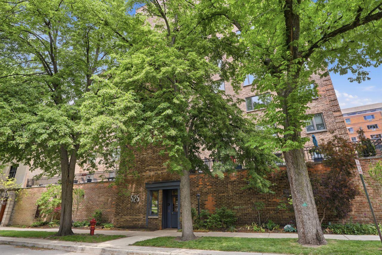 525 Grove St. #2D, Evanston, IL 60201