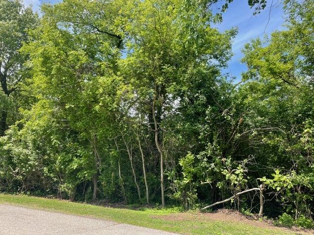 Lot 0 Pine St., Mchenry, IL 60051