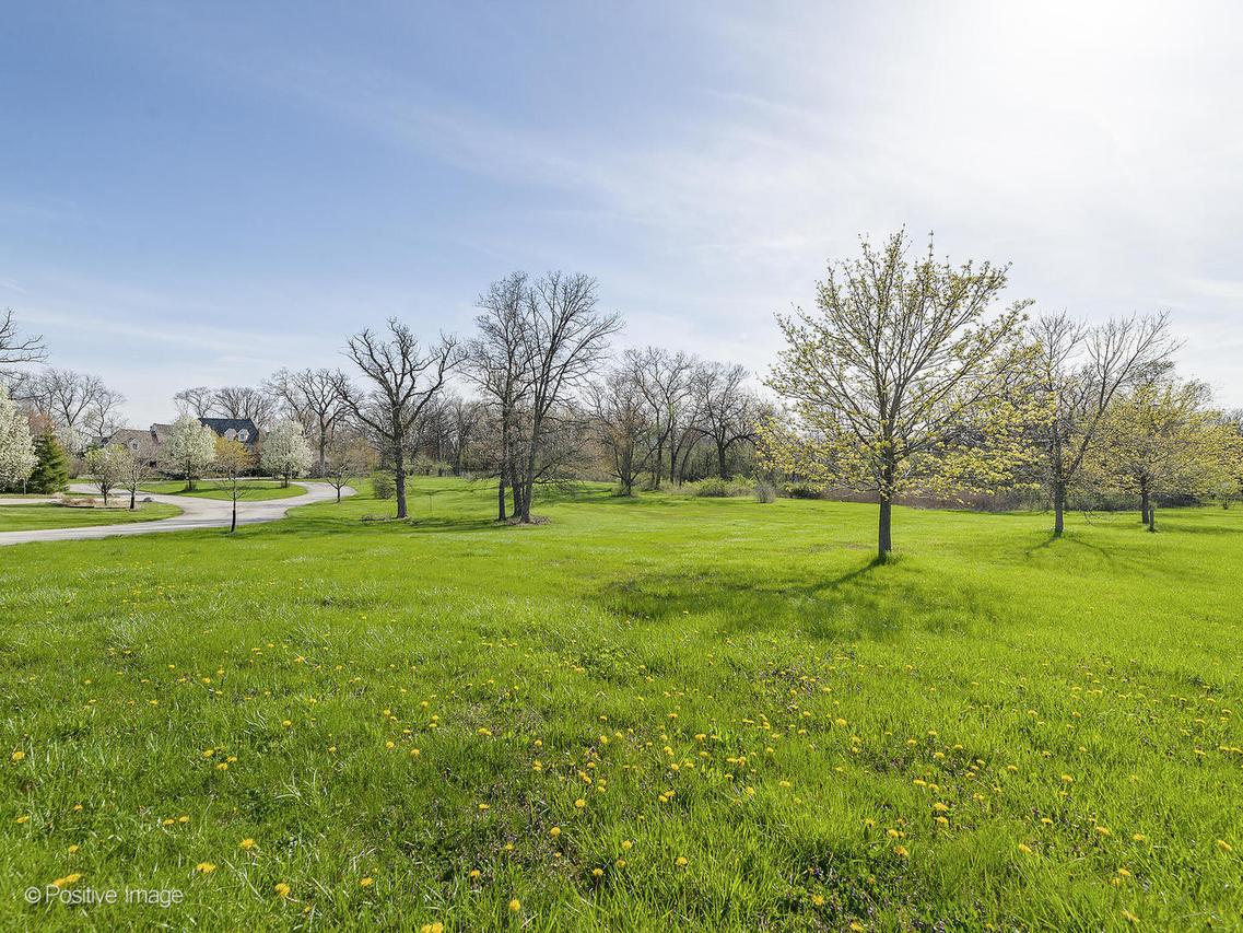 215 Oak Brook Rd., Oak Brook, IL 60523