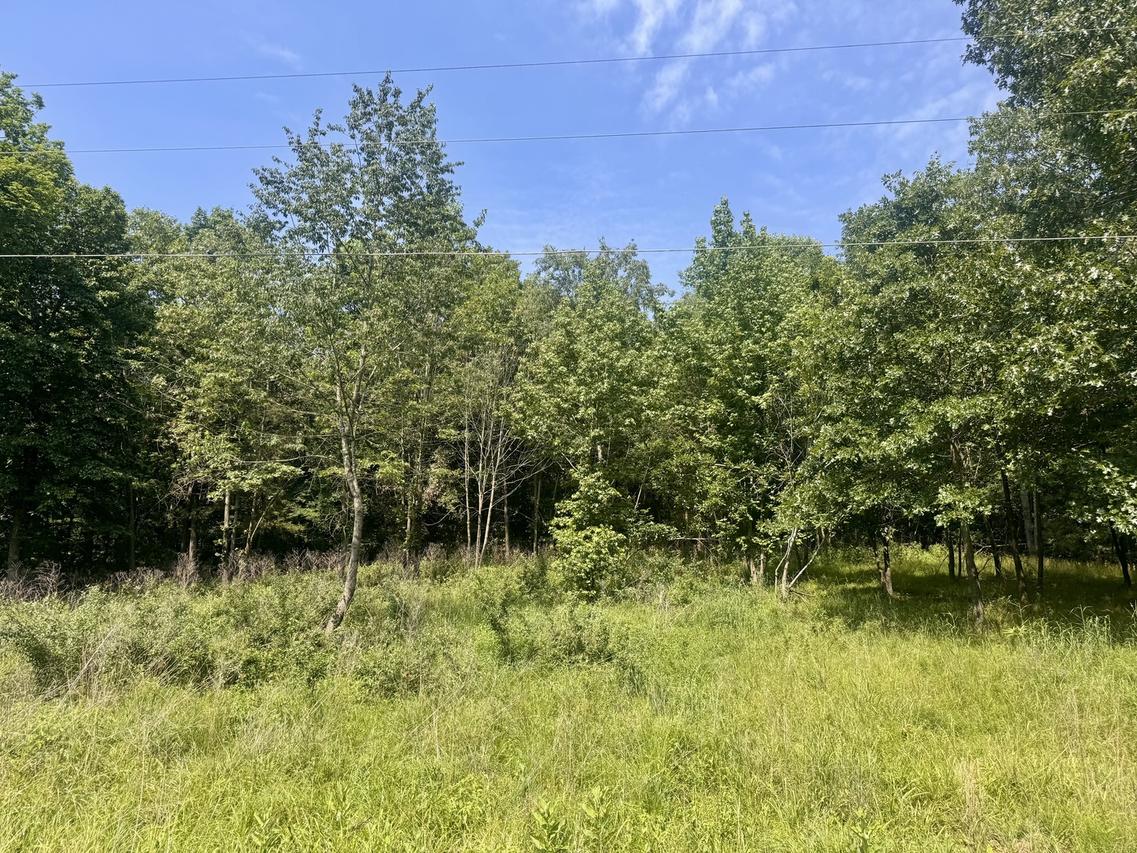 000 Shawnee Dr., Goreville, IL 62939