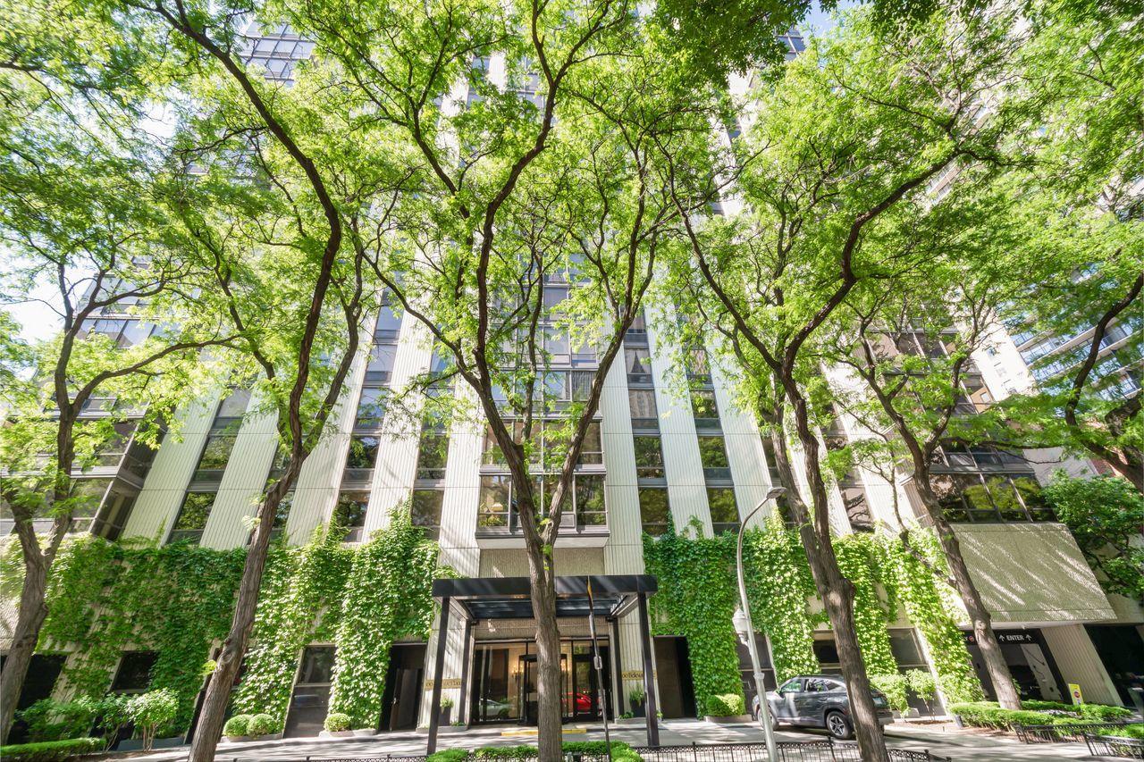 100 E Bellevue Pl. #6B, Chicago, IL 60611