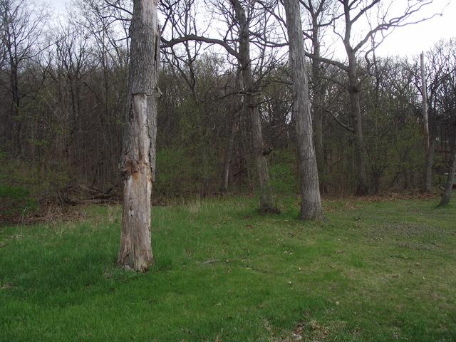 lot 012 Tuscola Ave., St. Charles, IL 60174