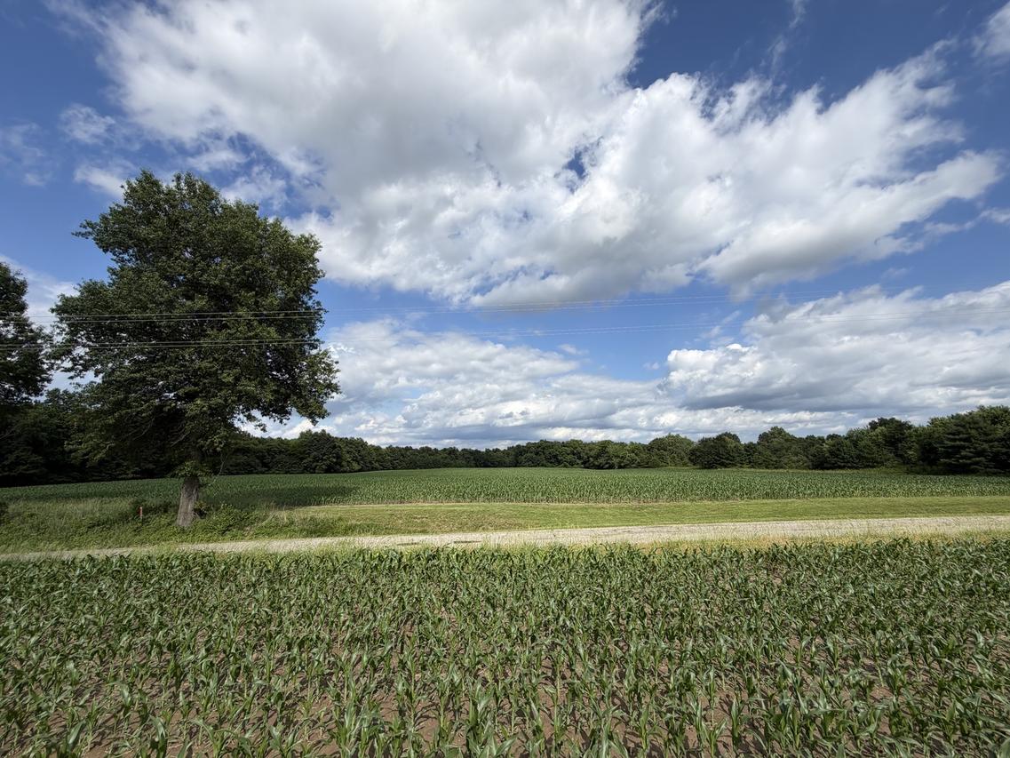 Landmark Rd., Iuka, IL 62899