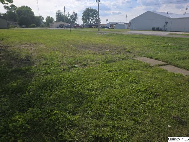 31 Randolph St, Carthage, IL