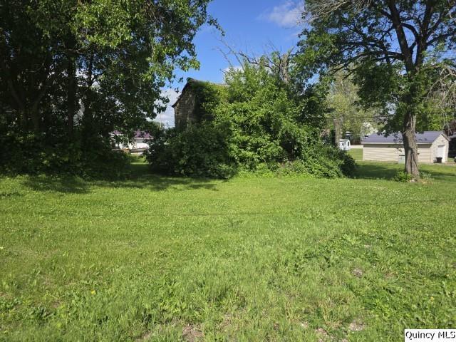 Corner of 4th & Cedar St., Dallas City, IL 62330