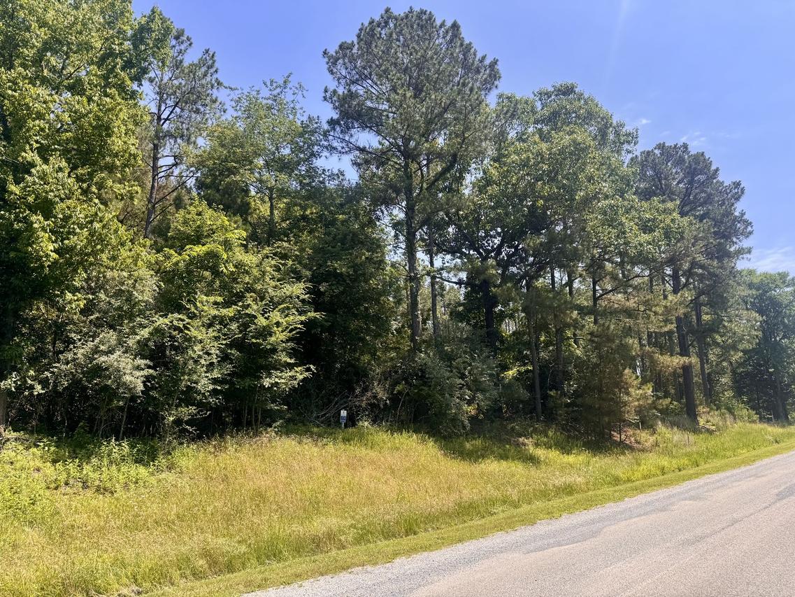 Lot 273 & 274 Rocky Point Rd., Goreville, IL 62939