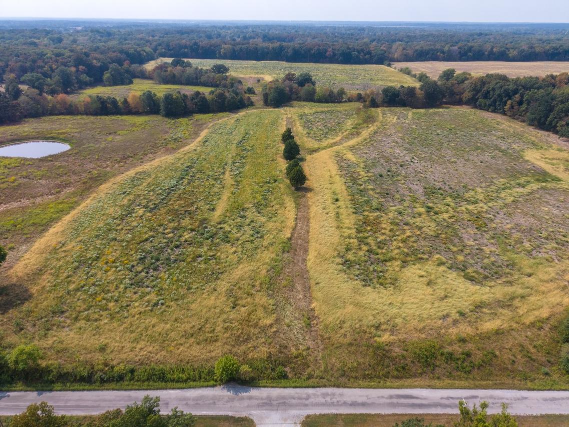 0000 N Stanford Ln., Opdyke, IL 62872