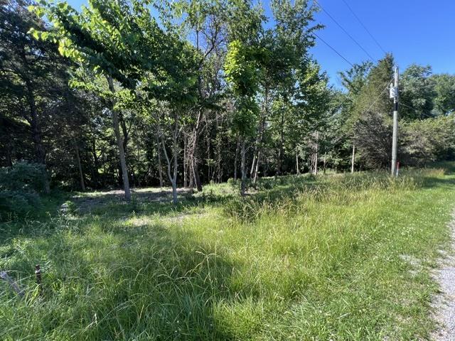 0000 Lakeshore Dr South, Goreville, IL 62959