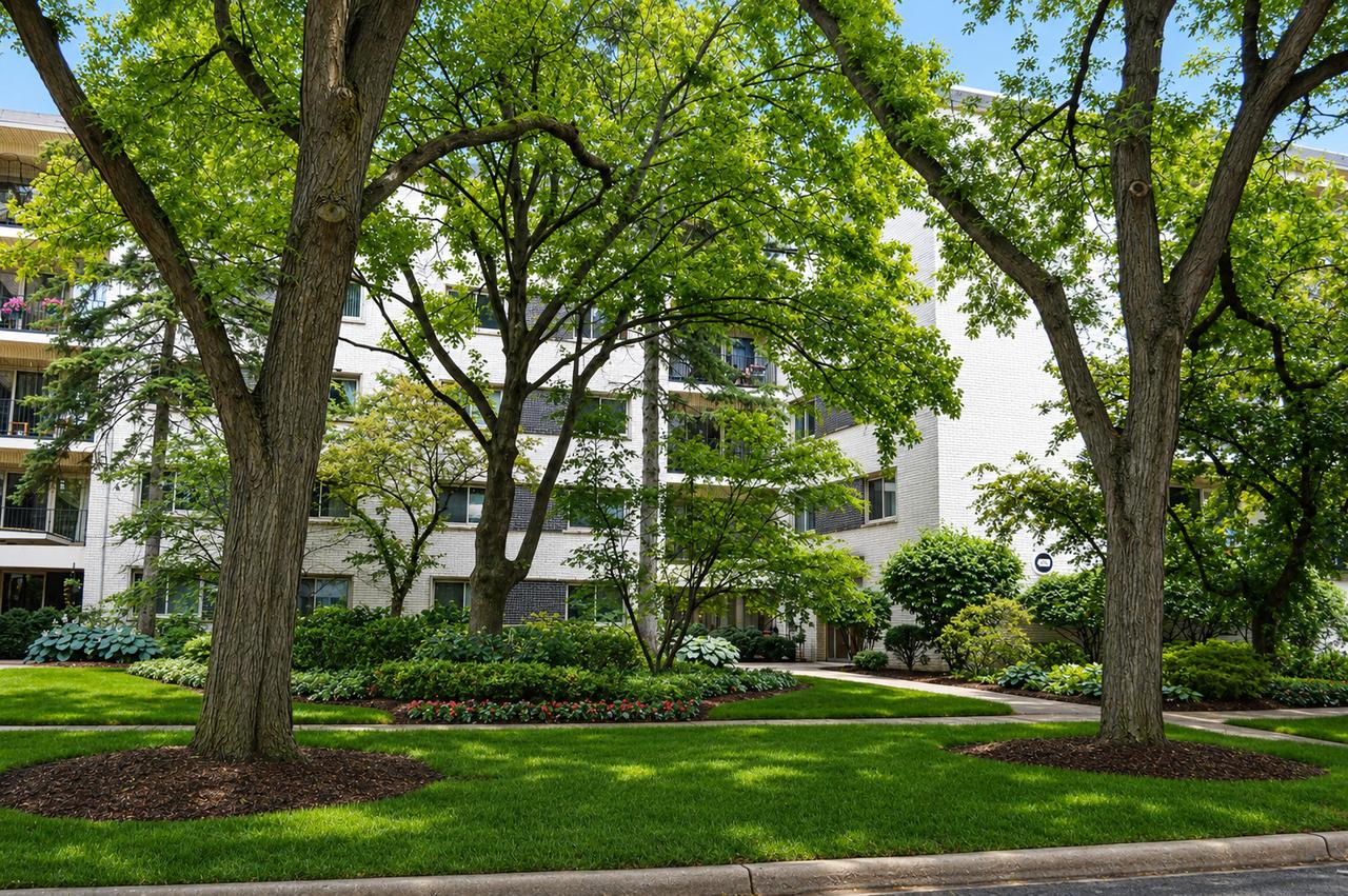 407 Franklin Ave. #3F, River Forest, IL 60305