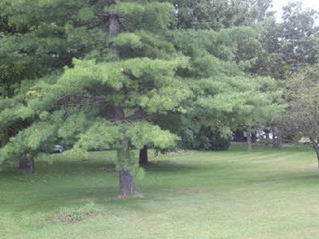 11810 Love Rd., Roscoe, IL 61073