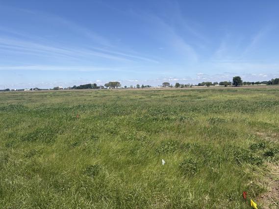 Homes Just Sold in Sheridan: June 30th to July 6th
