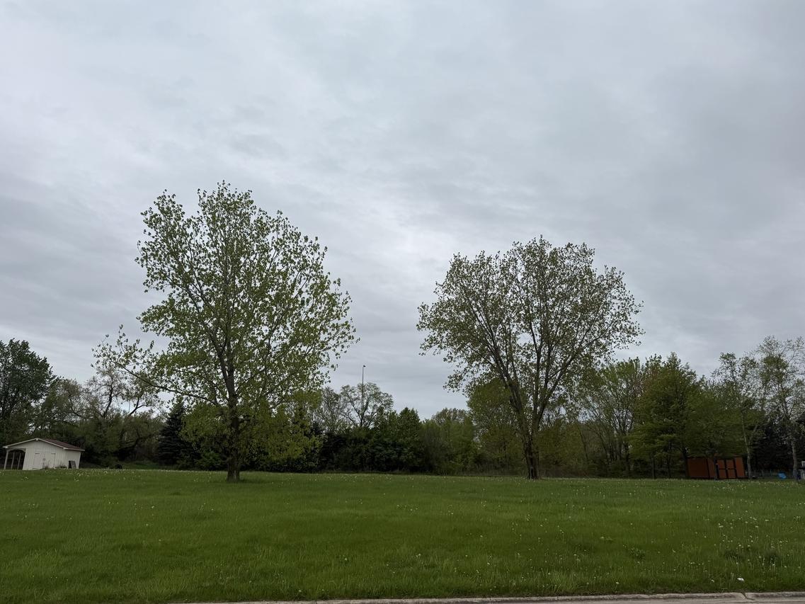 24317 Schubert Ln., Shorewood, IL 60404