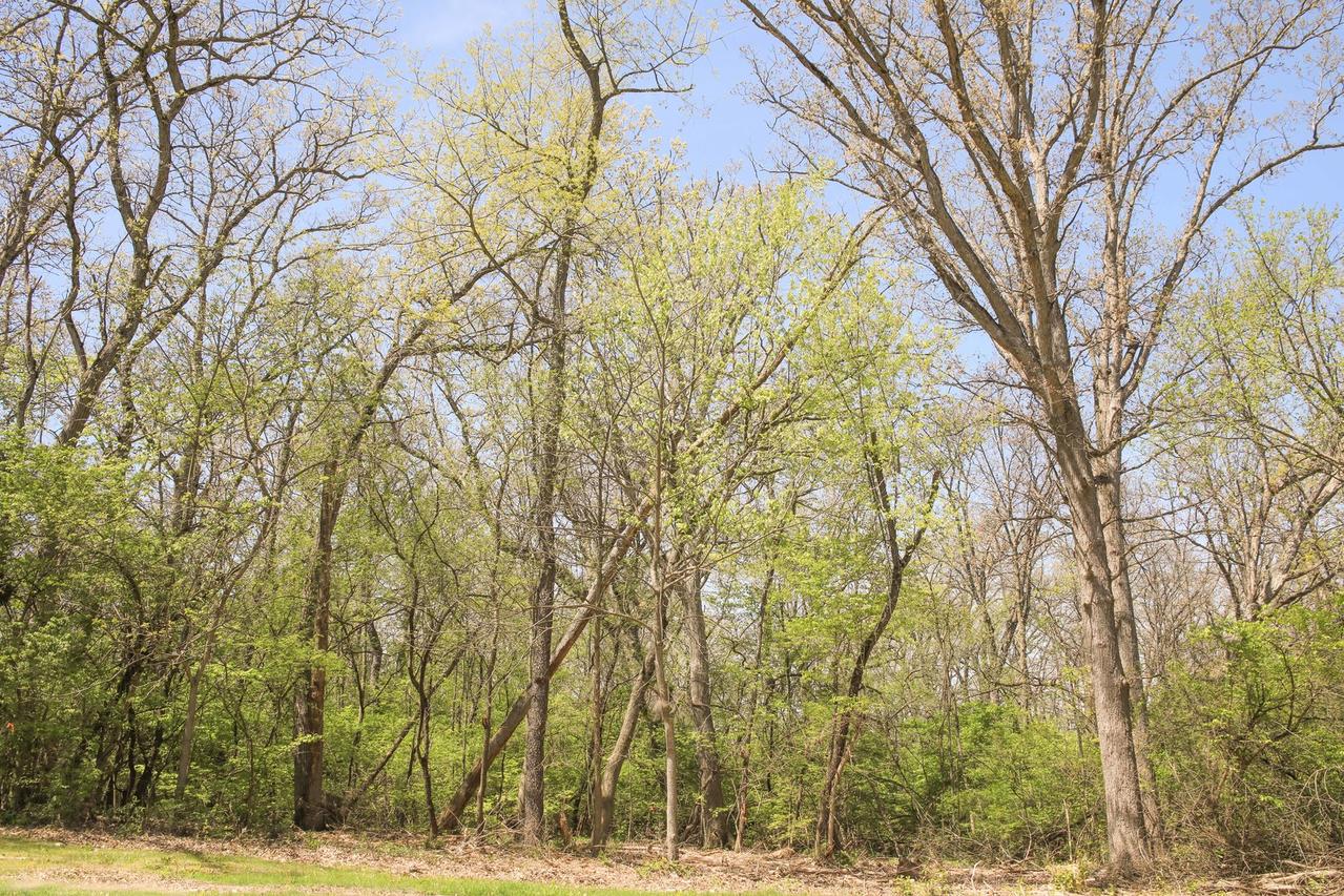 911 Echo (lot 5) Tr., Marengo, IL 60152