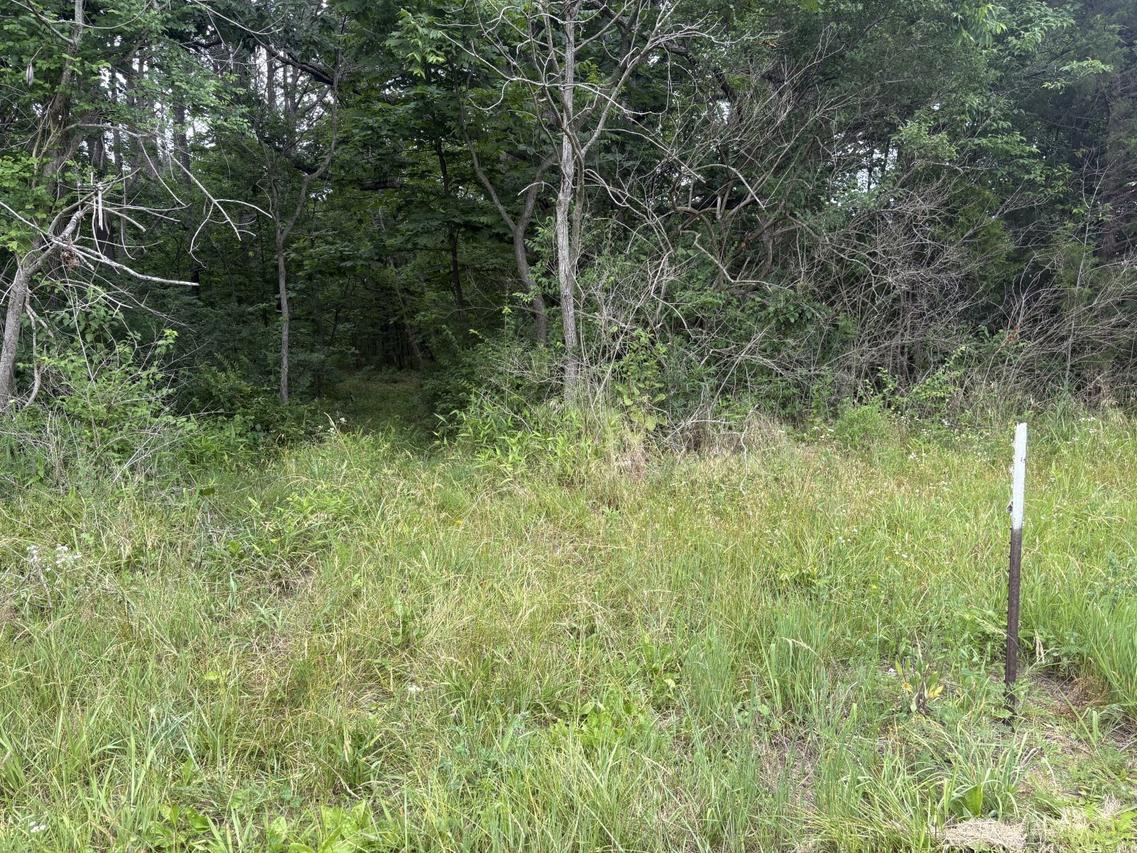000 N Sato Rd., Ava, IL 62907
