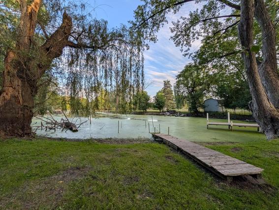New Homes For Sale This Week in Port Barrington: June 5th to June 11th