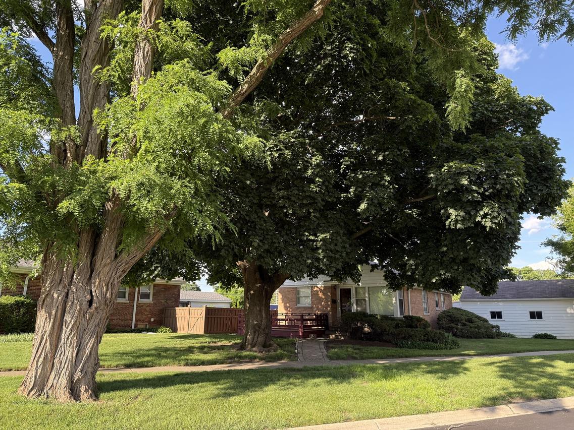 344 E Parallel St., Palatine, IL 60067
