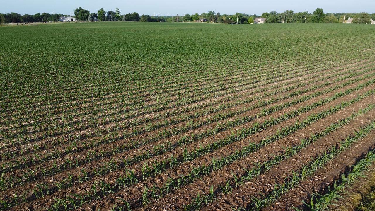 02 County Road 525n, El Paso, IL 61738