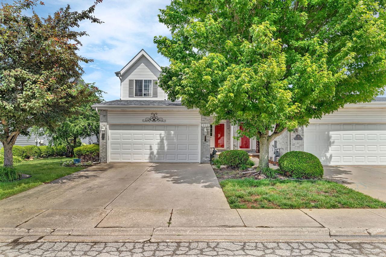 222 Harbor Landing, Braidwood, IL 60408