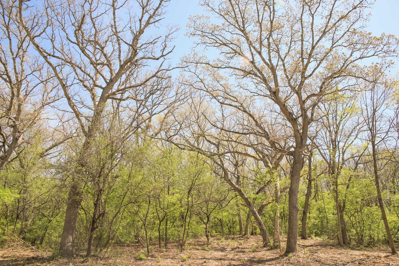 802 Echo (lot 23) Tr., Marengo, IL 60152