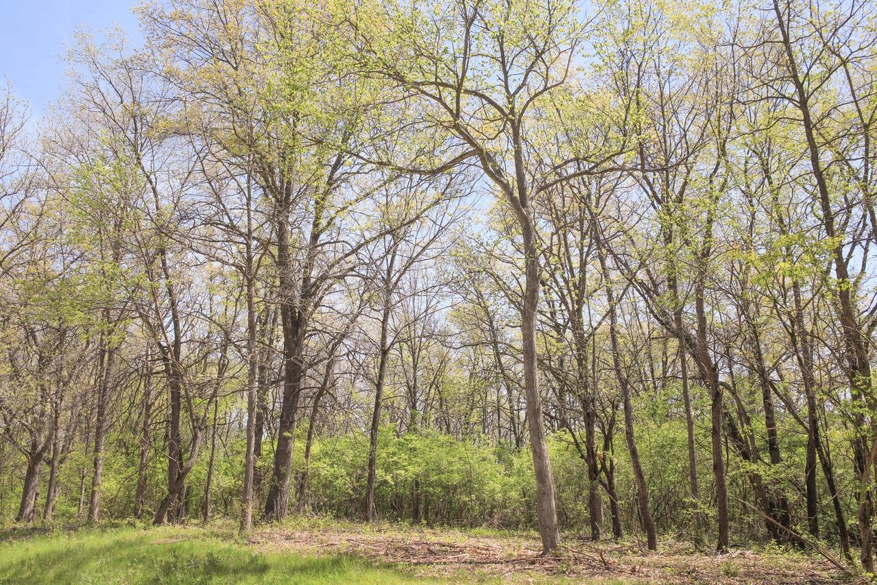704 Echo (lot 21) Tr., Marengo, IL 60152