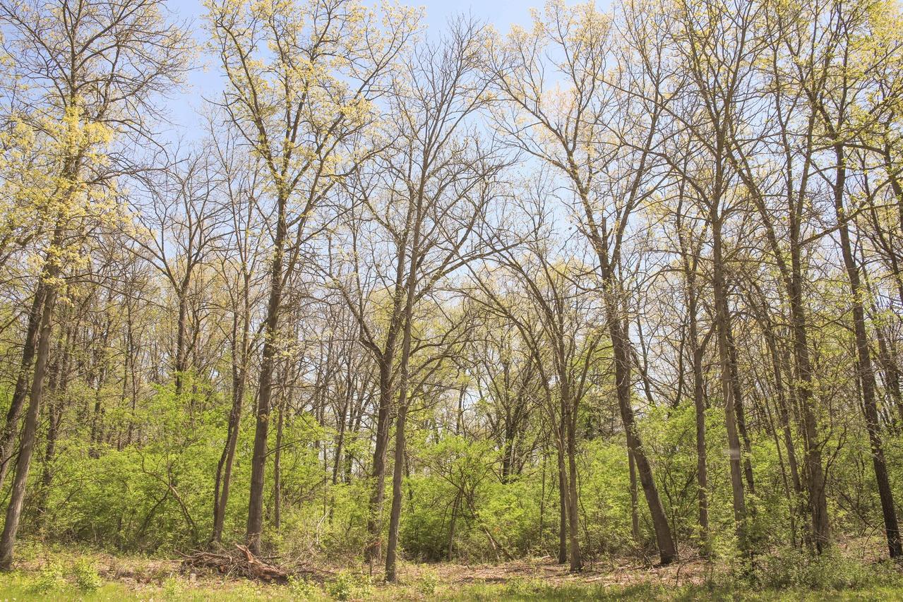 806 Echo (lot 22) Tr., Marengo, IL 60152
